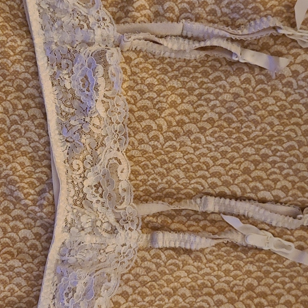 Lilly of France garter belt